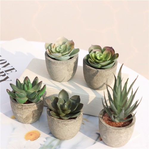 Pcs artificial succulents - pcs,